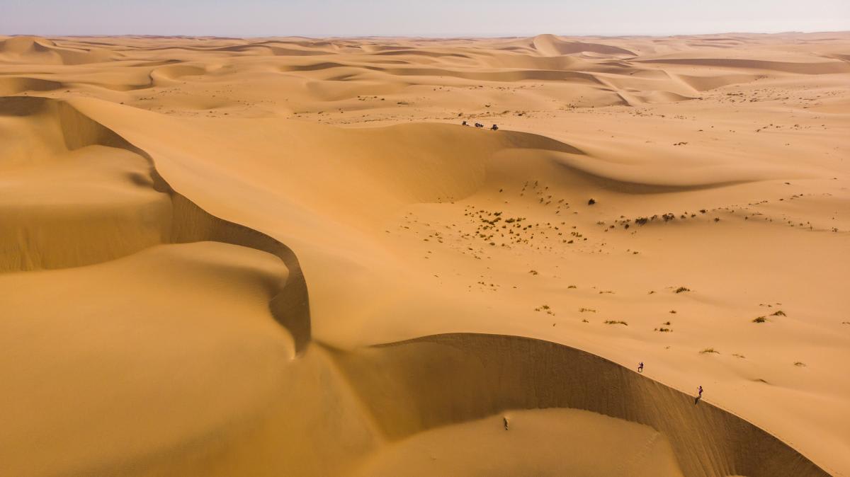Representative Image Source: Namib Desert in Namibia, Africa. (Photo by Leo Francis/Comic Relief via Getty Images)
