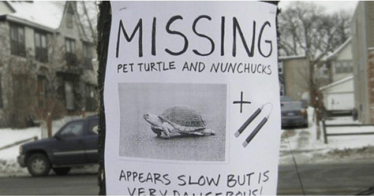 14 hilarious and clever lost pet posters