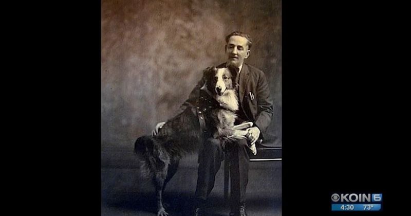 A 'wonder dog' left everyone stunned by walking 3000 miles back to its home in 1924