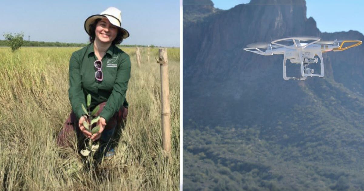 Drones fire ‘seed missiles’ into ground, less than a year later, trees are 20 inches tall