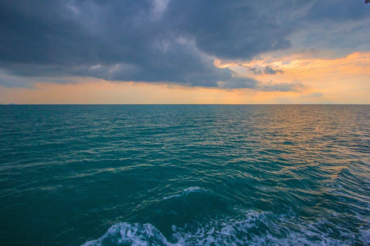 Representative Image Source: Pexels | Tyler Hendy