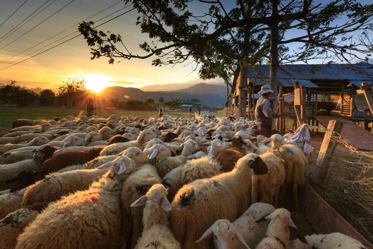 Representative Image Source: Pexels | Quang Nguyen Vinh