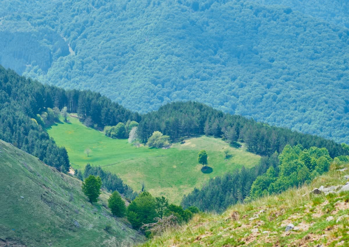 Representative Image Source: Pexels | valter zhara
