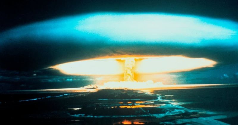 Experts believe this unique creature could make it to the end of the world