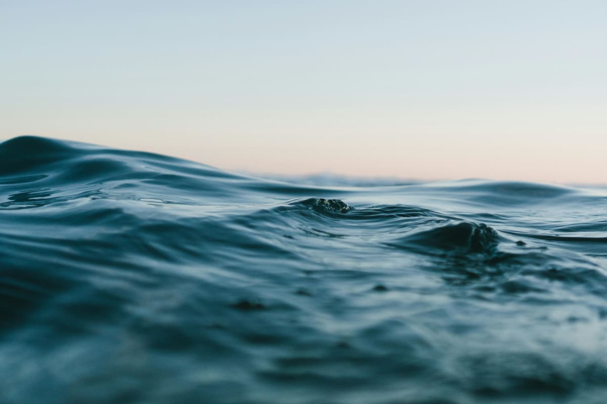 Representative Image Source: Pexels | matthardy