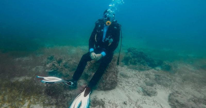 Scientist discovers 'brand new species' after living 100 days underwater in record-breaking feat