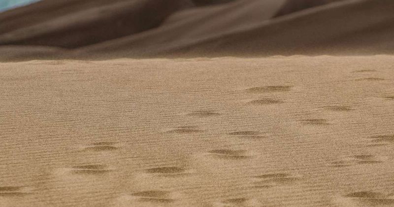Scientists baffled by mysterious 'fairy circles' found at hundreds of sites across the world