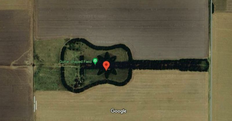Husband spends 40 years growing guitar-shaped forest to fulfill his late wife's wish