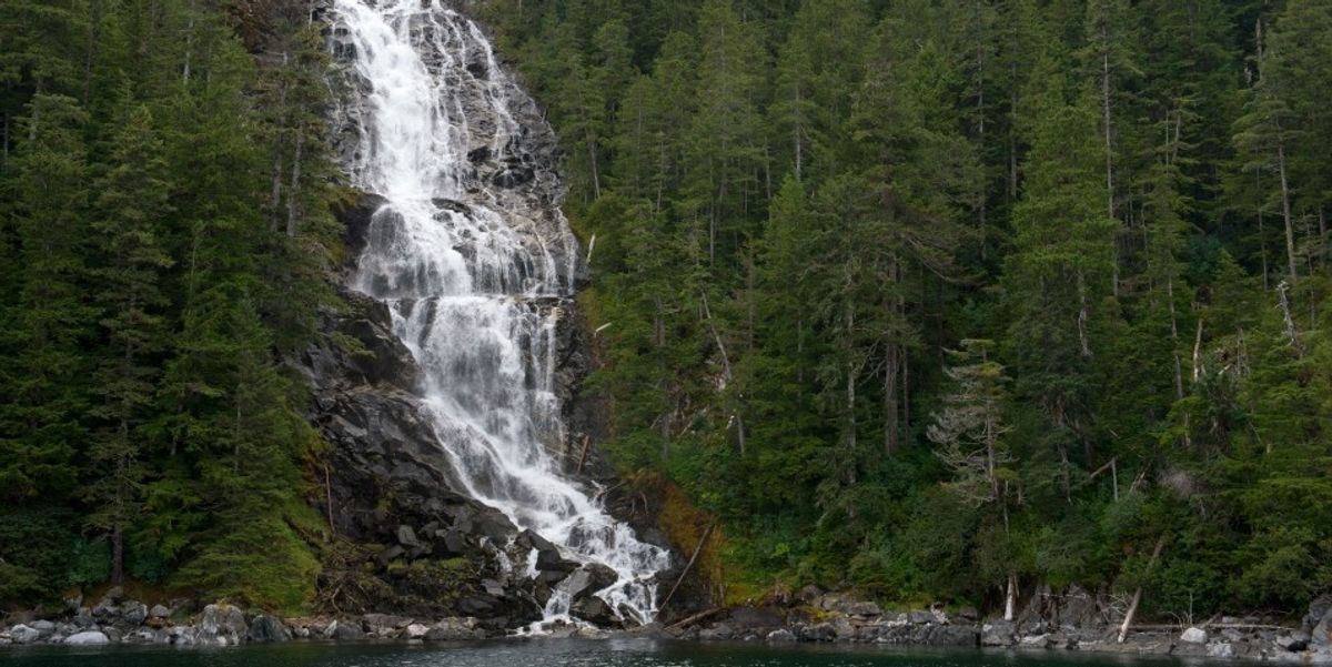 Trump admin removes protections from Tongass National Forest, opening it to clearcutting