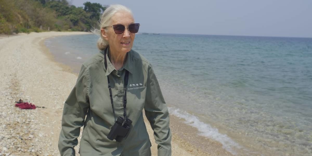 GOOD10 // The Earth Issue // The Activist: Dr. Jane Goodall