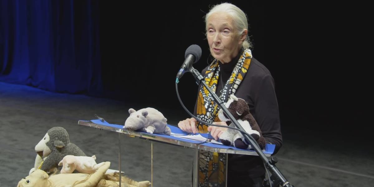 GOOD10 // The Earth Issue // The Media: National Geographic's 'Jane Goodall: The Hope'