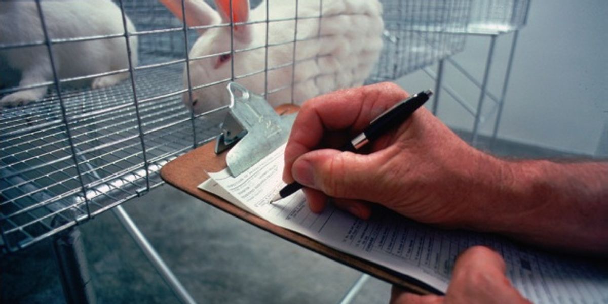 You can now adopt former FDA lab animals. And they make great pets, too.