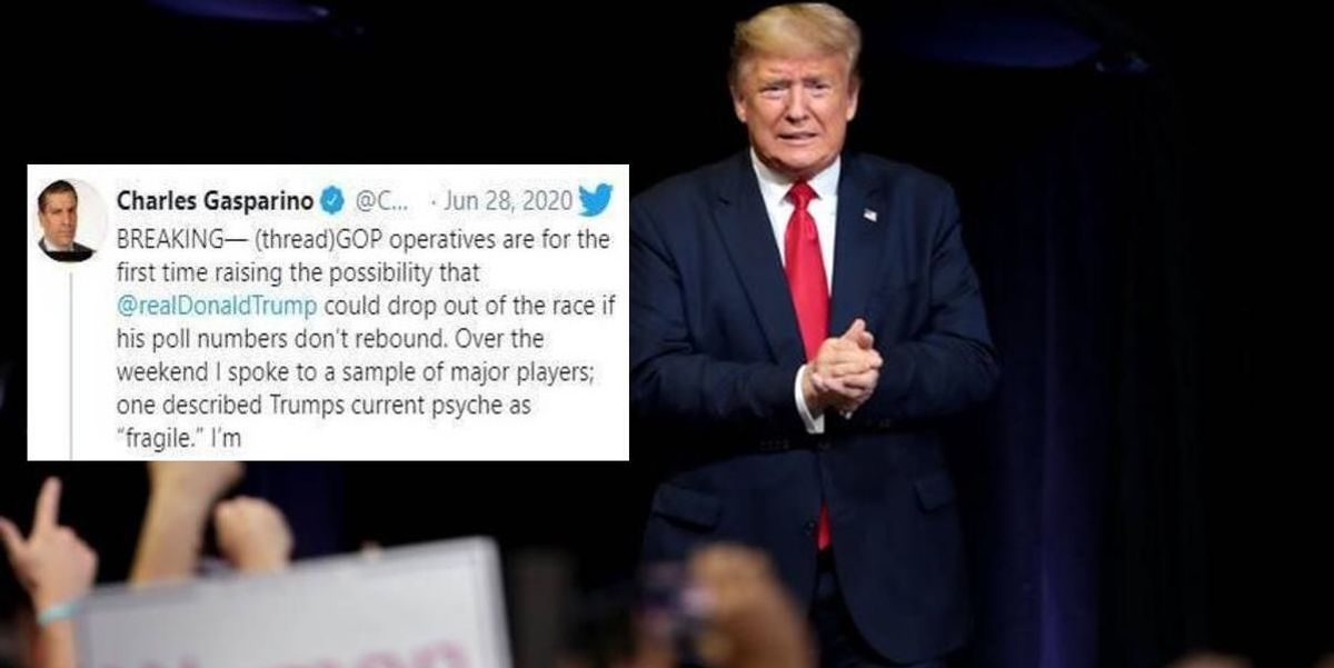 Republican operative tells Fox News that Trump may drop out of the 2020 presidential race